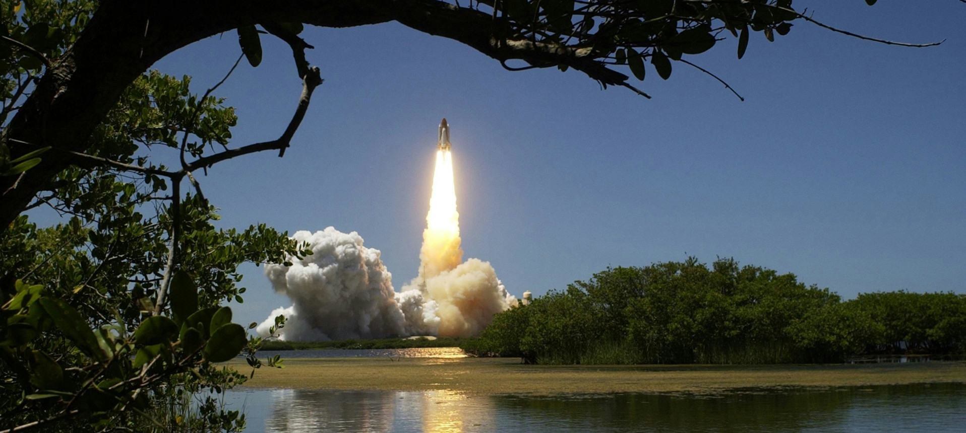 Escalamiento e innovación